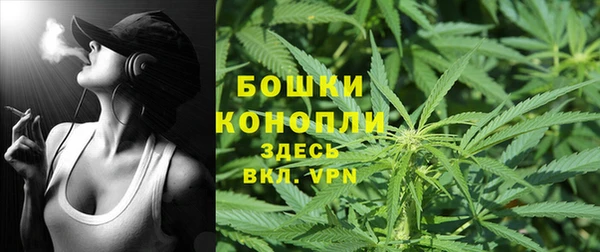 гидропоника Нея