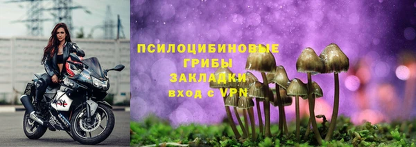 дмт Нефтекумск