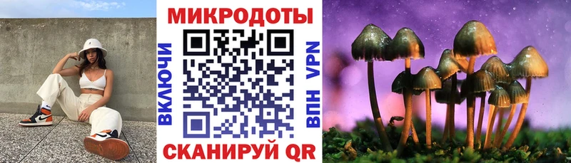 Псилоцибиновые грибы Cubensis Купить Пучеж